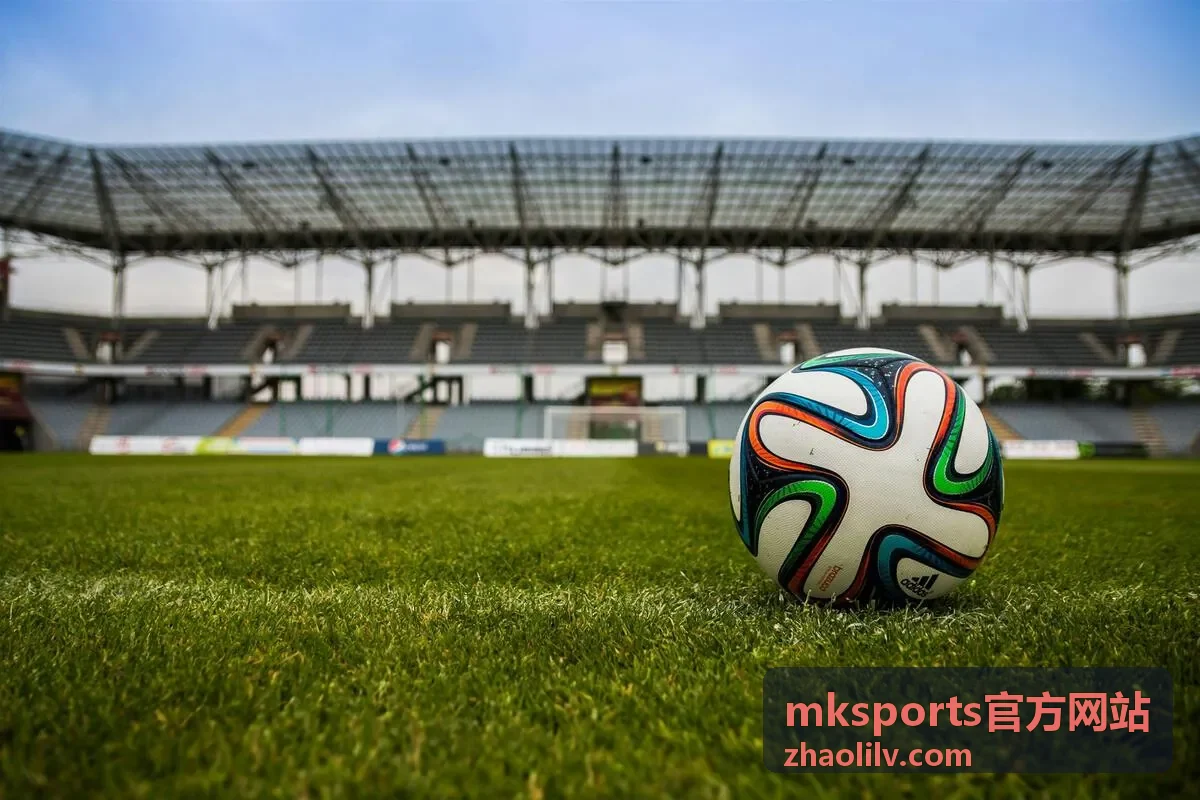 mksports官方网站评分维度与计分权重说明图