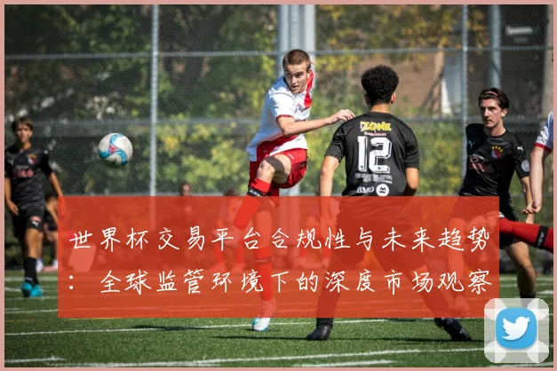 世界杯交易平台合规性与未来趋势：全球监管环境下的深度市场观察