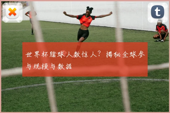 世界杯赌球人数惊人？揭秘全球参与规模与数据