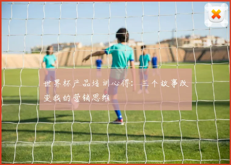 世界杯产品培训心得:三个故事改变我的营销思维