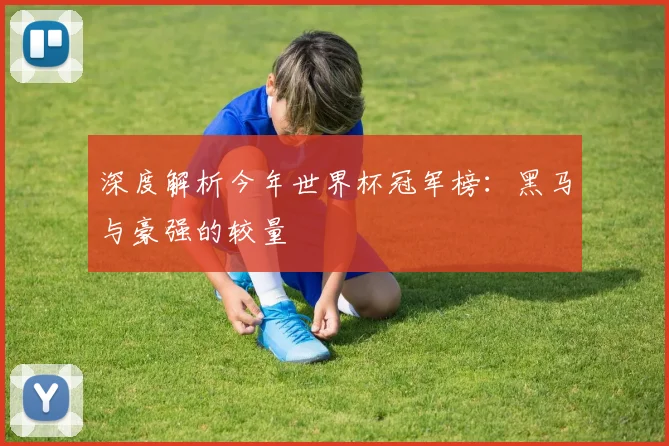深度解析今年世界杯冠军榜：黑马与豪强的较量